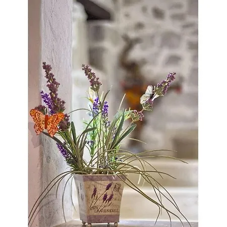 Parentium 5km Villa *